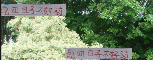 蜀商证券 除榜首成都！前4 日子都不好过 申花名宿曹赟定直接锐评教练