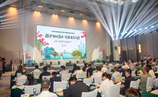 财富策略 守护城市“活文物”：越秀公园打造古树名木保护科普新范式